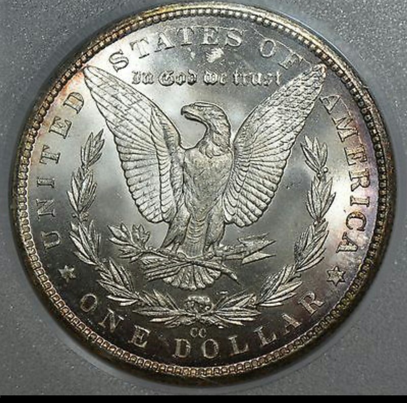 1883-CC-Morgan-You-Vs.-PCI-Photo-Grade-Slab