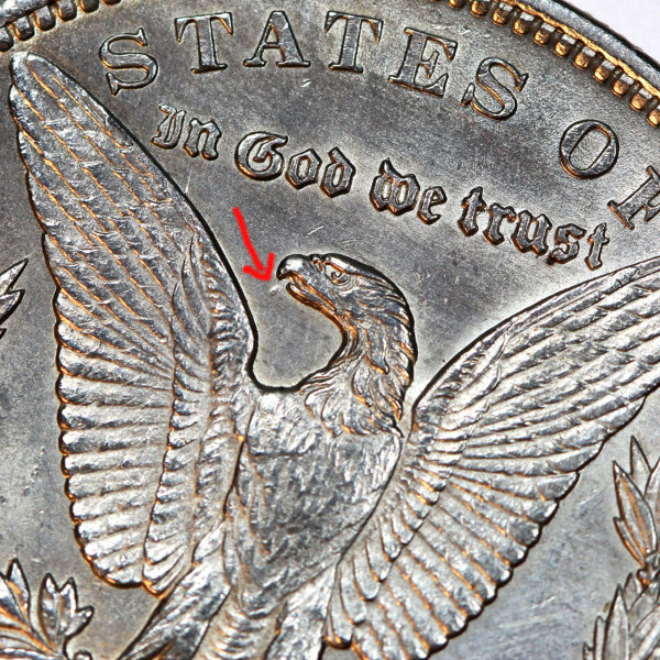 1891-CC-VAM-3-Spitting-Eagle-Thoughts