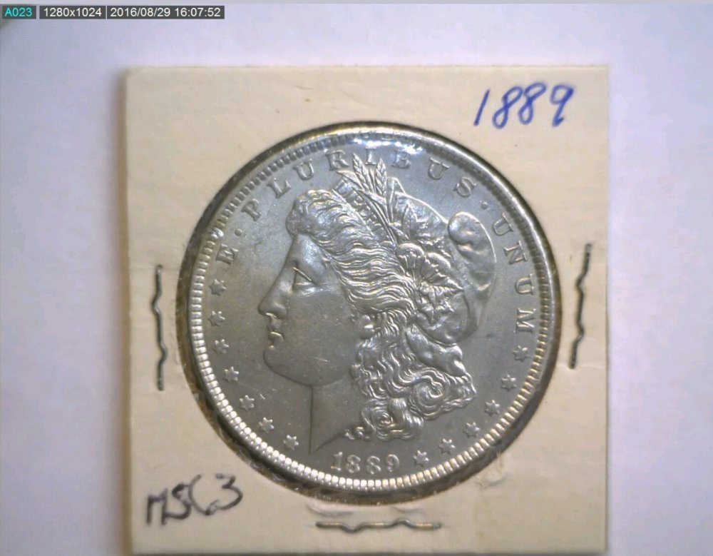 1889-Morgan-Cleaned,-Right?