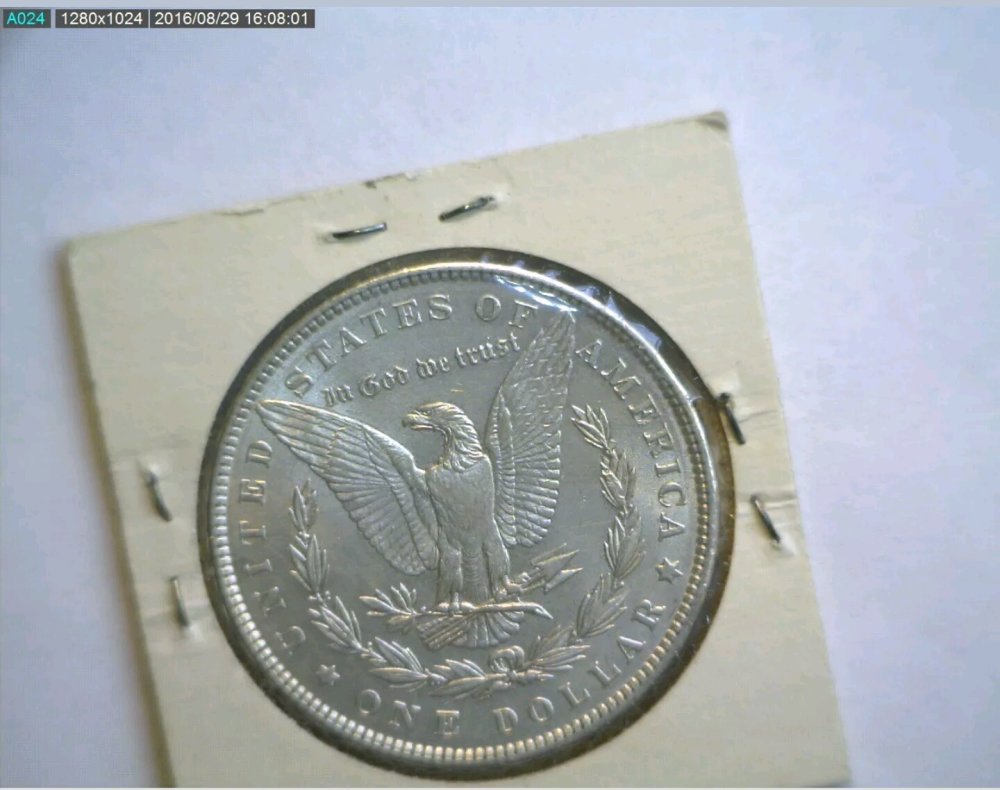 1889-Morgan-Cleaned,-Right?