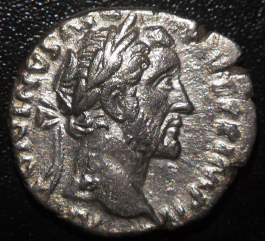 First-Denarius-In-Collection---Antoninus-Pius