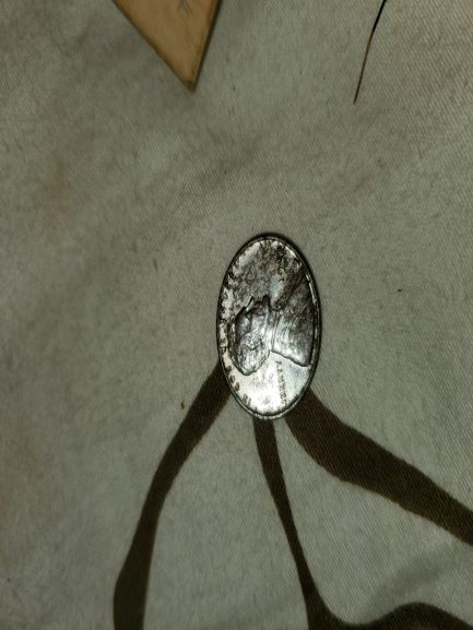 Please-Look-At-My-1943-D-Steel-Wheat-Cent-If-It's-A-Double-Mint-Mark-&-Date