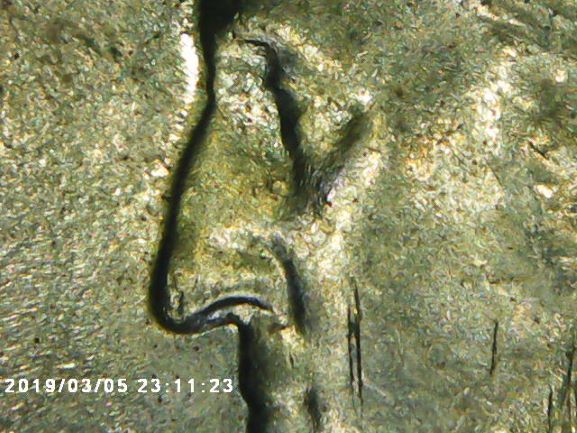 1965-Quarter-Dollar-Still-Learning-To-Pinpoint-Double-Dies