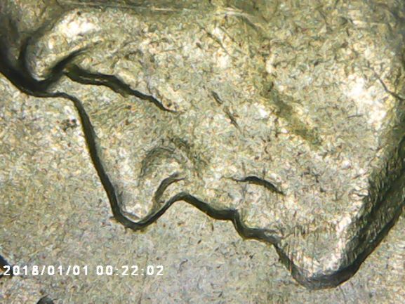 1964-Nickel-Doudbled-?-Look-At-The-Eyes.