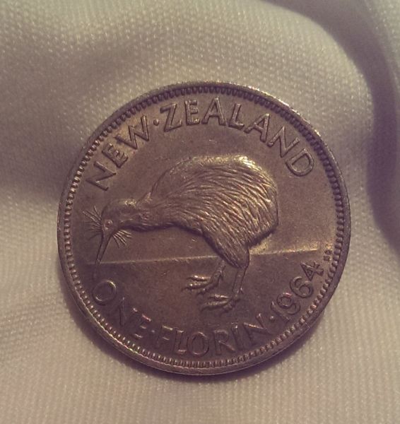Noodling-Find-Of-The-Week?