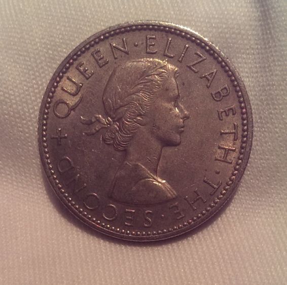 Noodling-Find-Of-The-Week?
