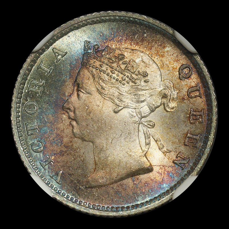Continuing-List-To-Show-Everyones-Latest-Acquisitions