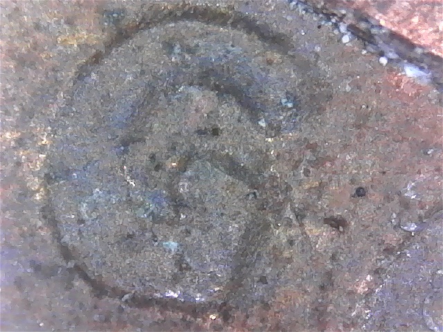 1982-LMC-DDO-Large-Date