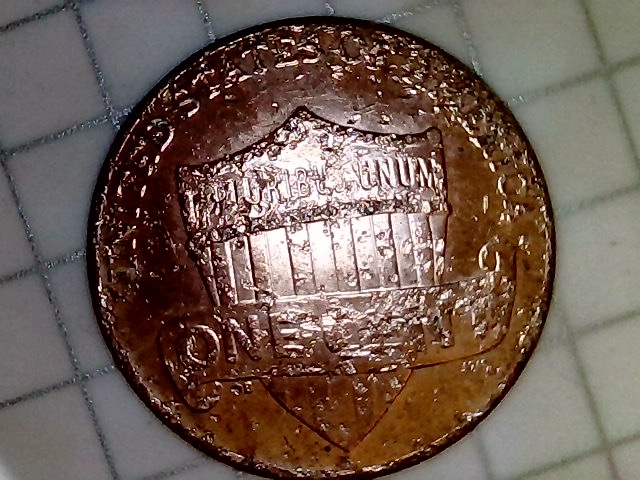 2019-D-LSC-Questions-On-Obverse-And-Reverse