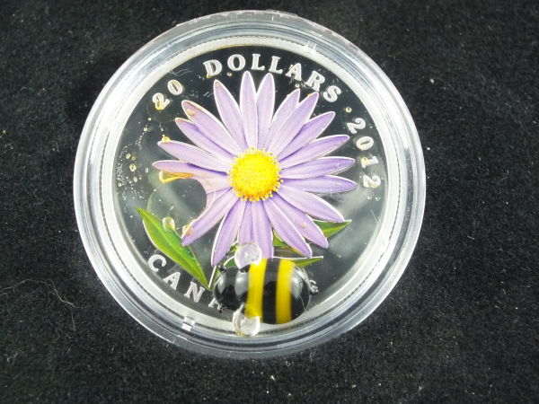 Aster-With-Venetian-Glass-Bumble-Bee-Error