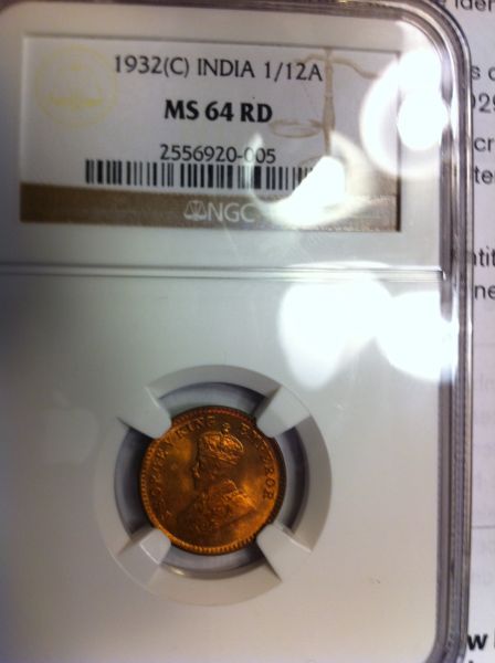 Back-From-NGC!!