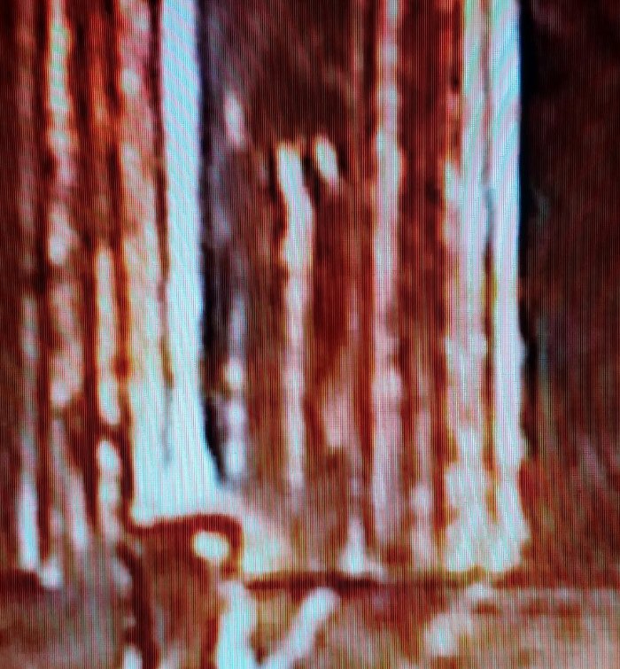 1994-D-LMC-What-Kind-Of-Error-Is-This?