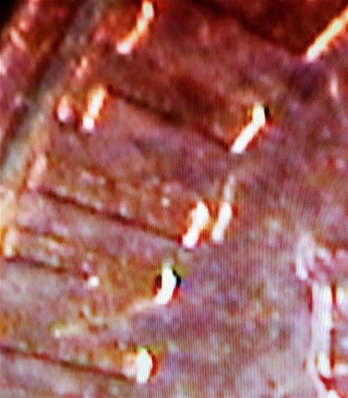 1994-D-LMC-What-Kind-Of-Error-Is-This?