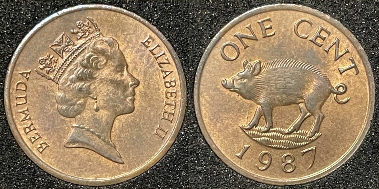 Post-Your-Coins-Representing-The-Animal-Kingdom.