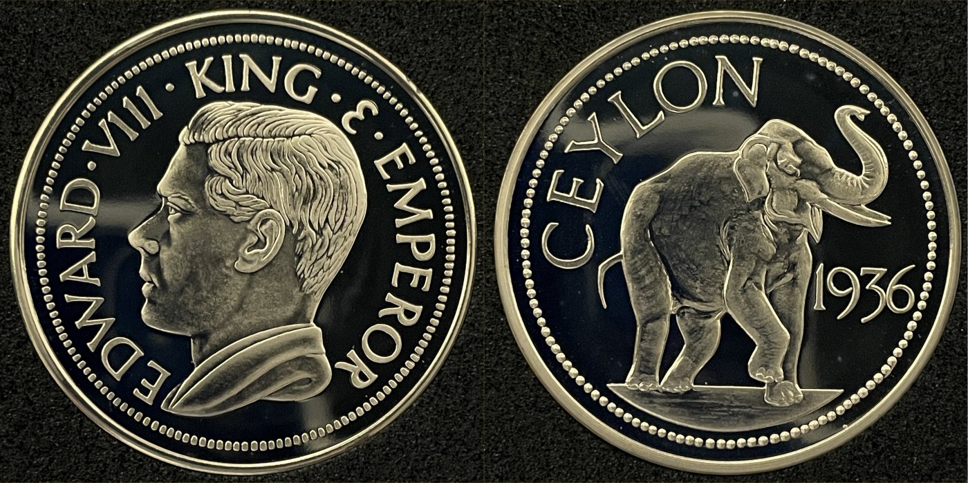 Post-Your-Coins-Representing-The-Animal-Kingdom.
