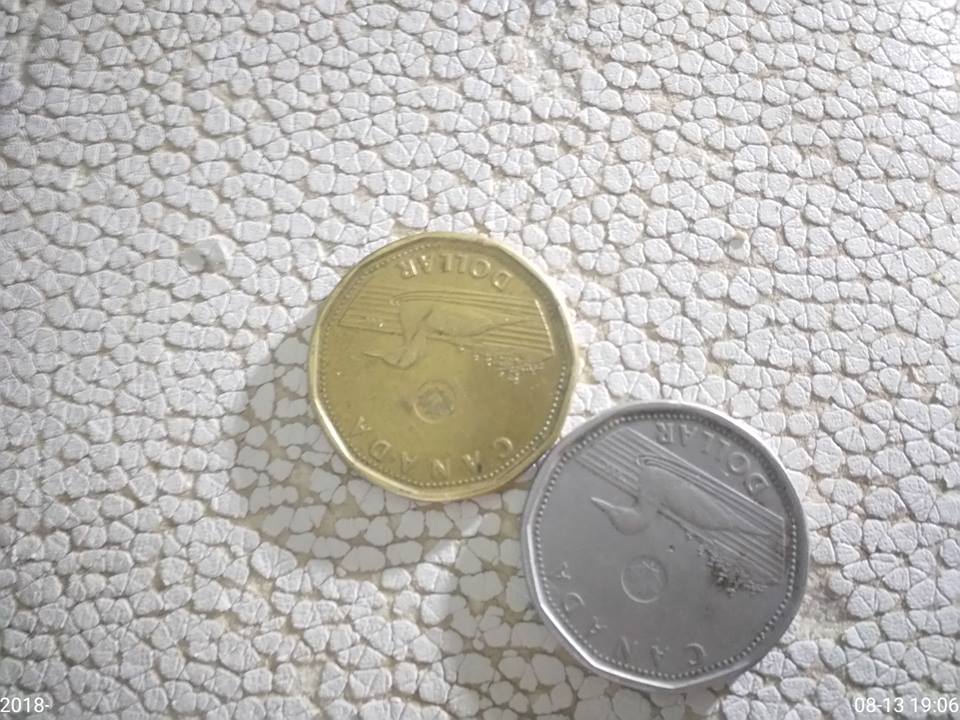 2012-Loonie-Wrong-Planchet-I-Think?