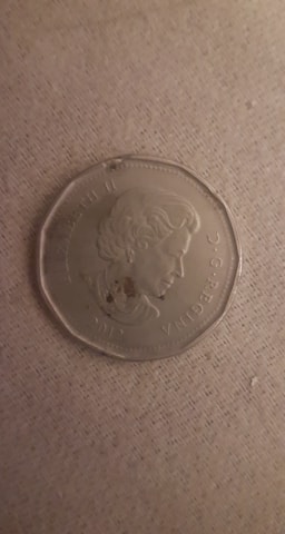 2012-Loonie-Wrong-Planchet-I-Think?