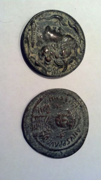 Help-Identifying-Please