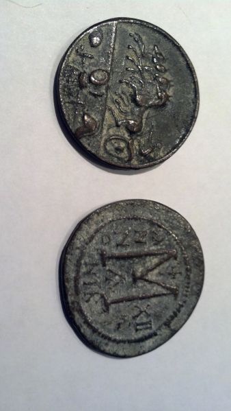 Help-Identifying-Please