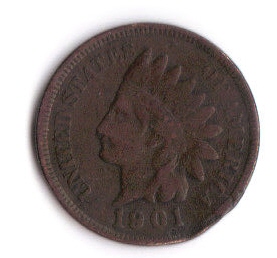 Fine-Detail-Indian-Head?