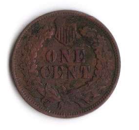 Grade-My-50-Cent-Coin-Show-Bargain-Box-Find.