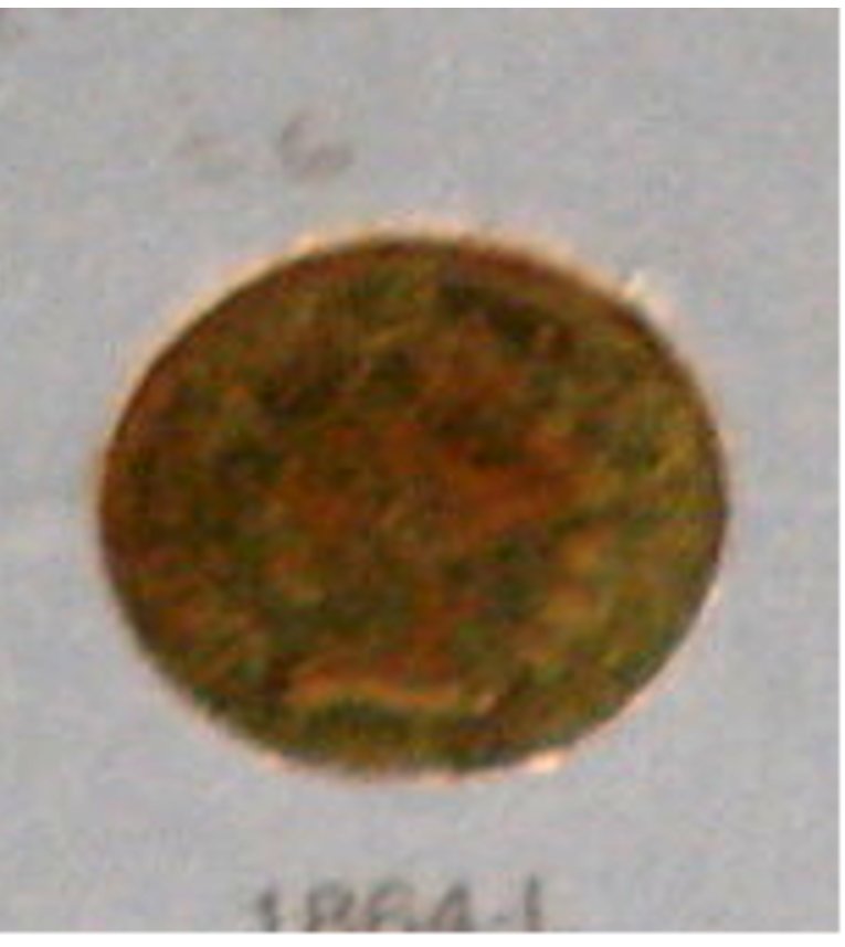 Is-This-An-1864-L-Indian-Head-Cent?