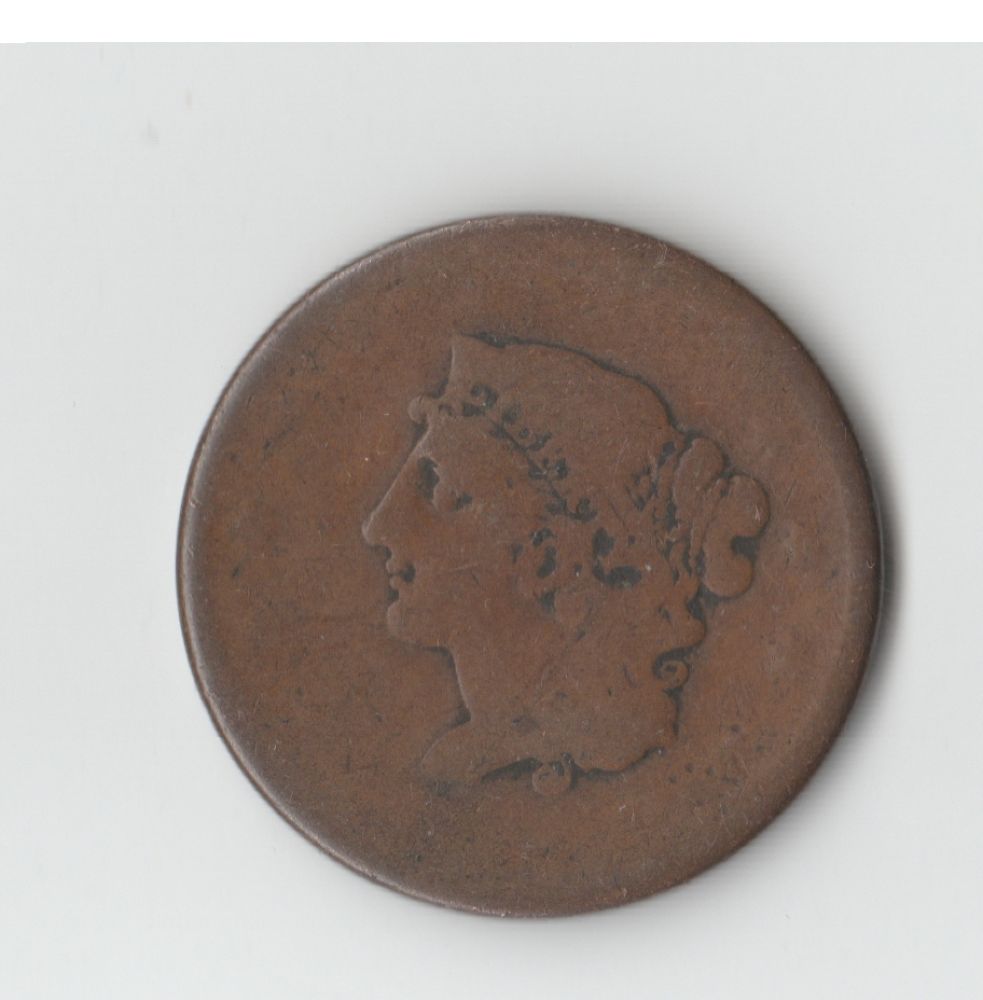 Boobyhead-Large-Cent?