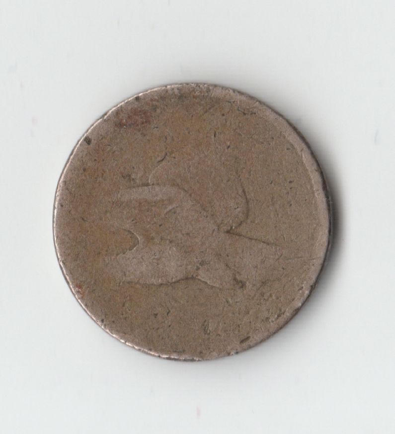 Do-You-See-A-Partial-Date-On-This-Flying-Eagle?