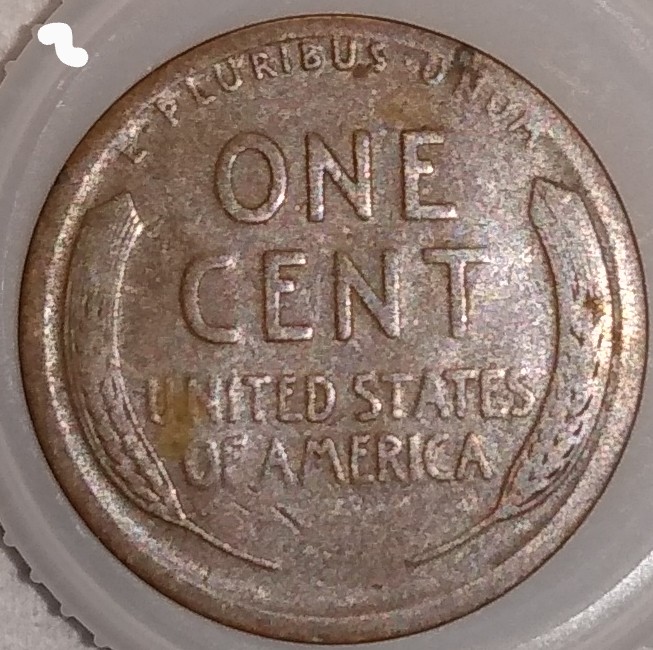 Woody-Cents,-Good-Looking-Coins-Just-Not-Sure-If-They-Are-Or-Not.