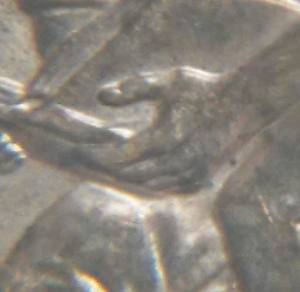 Question-2009-Lincoln-Cent-1c-DDR