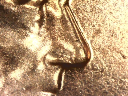 Could-I-Get-Opinions-On-This-2011-LSC?