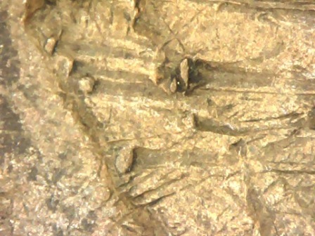 Errors-On-Lincoln-Pennies-Vs-Wear