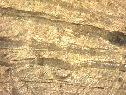 Errors-On-Lincoln-Pennies-Vs-Wear