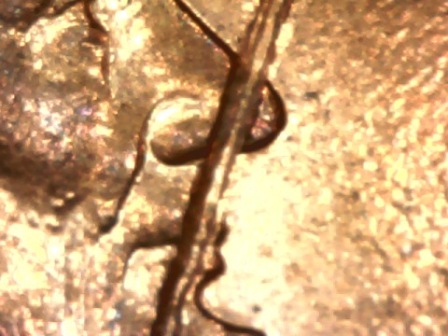 1998-D-LMC