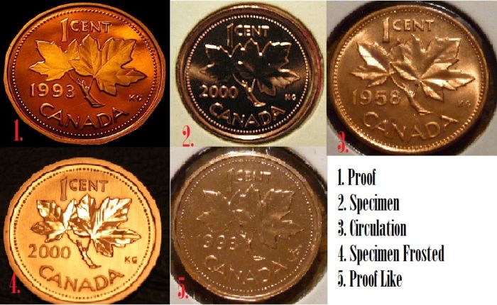 Canada-5-Types-Of-Strikes-Question