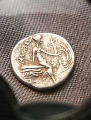 Found-This-Little-Guy-Recently...
