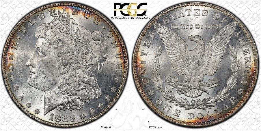 Opinions-On-Recent-Grade-Received-From-PCGS