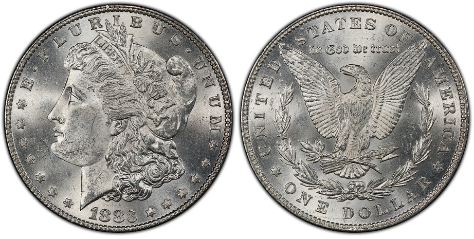 Opinions-On-Recent-Grade-Received-From-PCGS