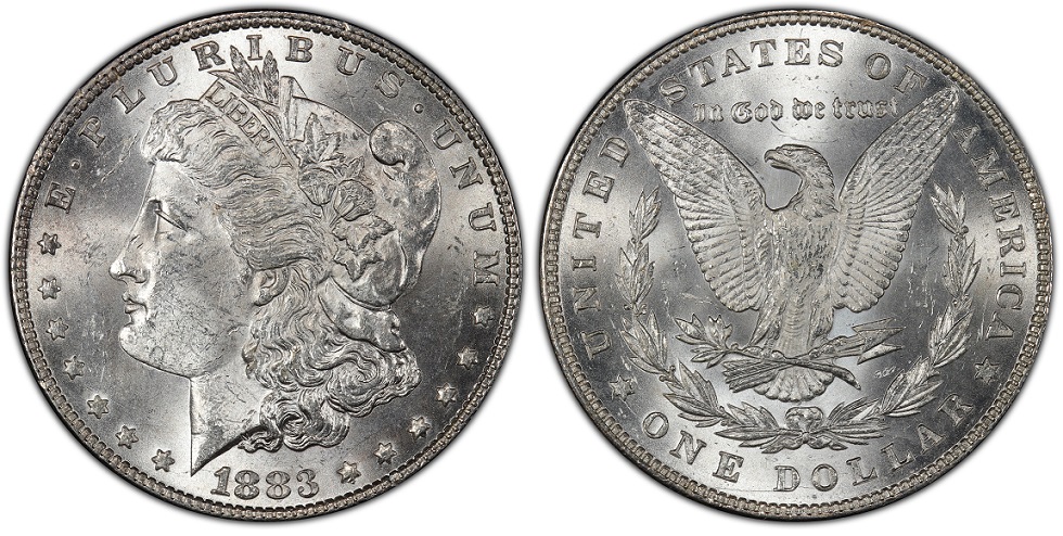 Opinions-On-Recent-Grade-Received-From-PCGS