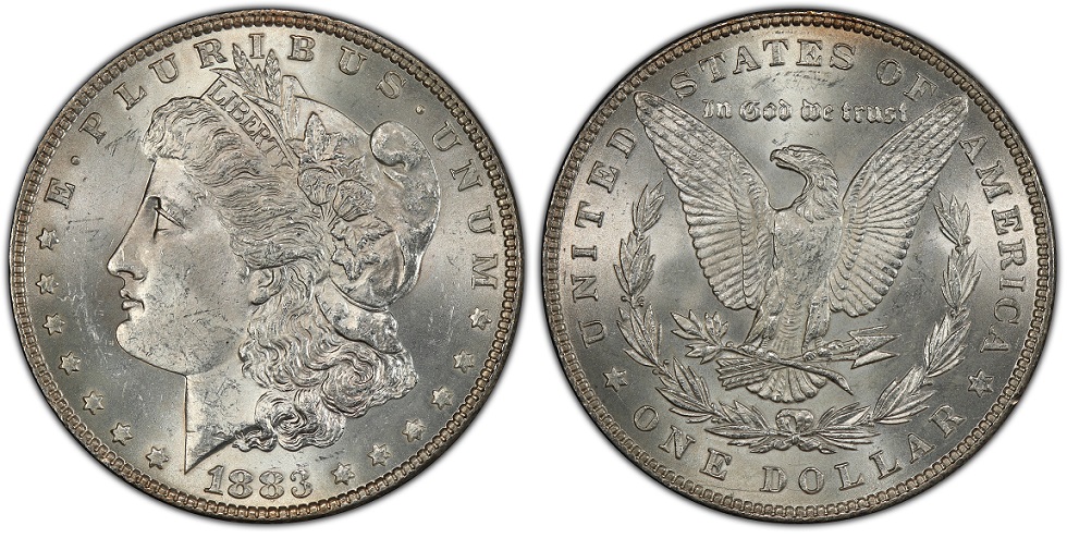 Opinions-On-Recent-Grade-Received-From-PCGS