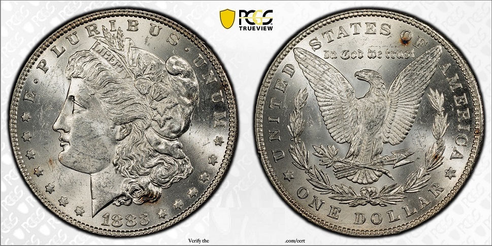 Opinions-On-Recent-Grade-Received-From-PCGS