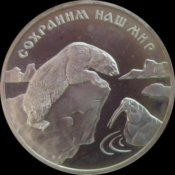 Unbearable!-Post-Your-Bears-On-Coins!