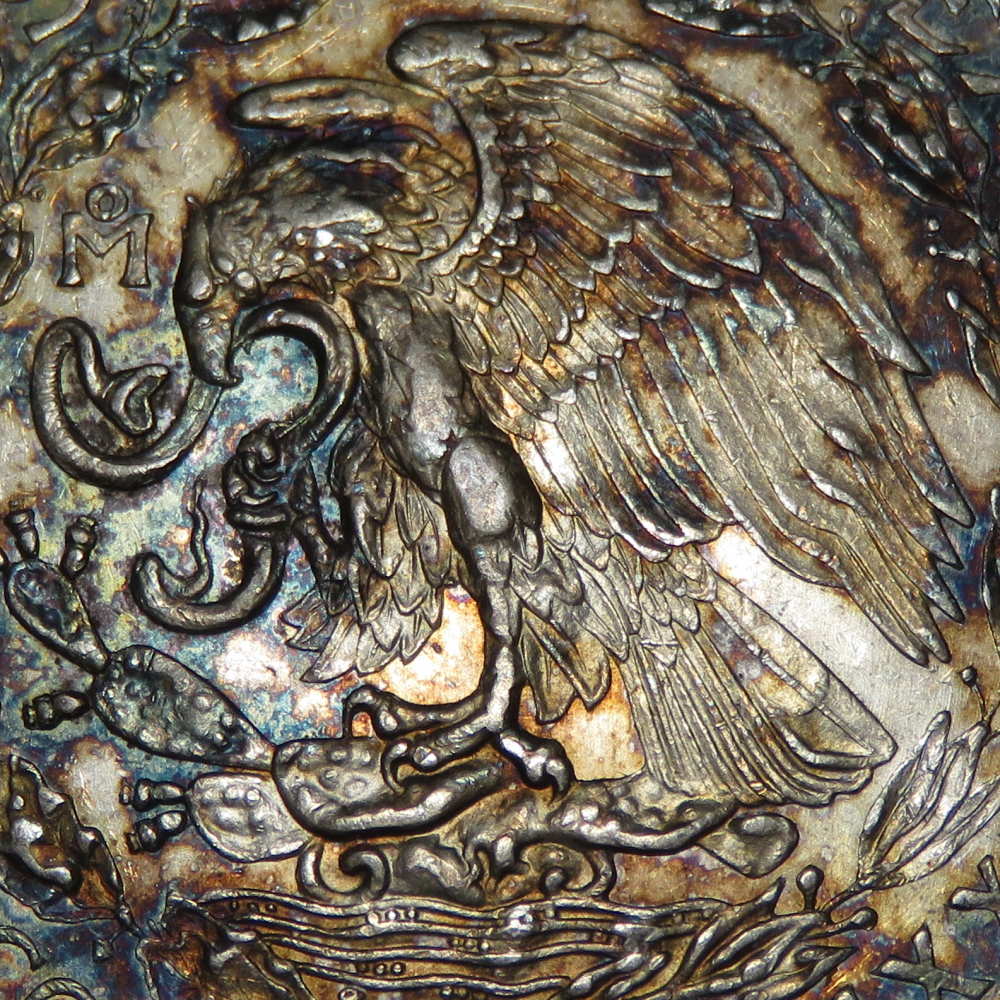 What's-Your-Favorite-Eagle?