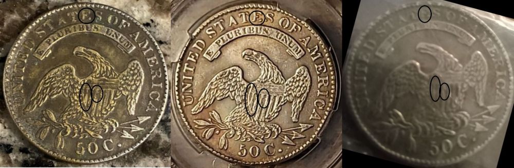 All-In-The-Family-Capped-Bust-Half-Dollar-Fakes.