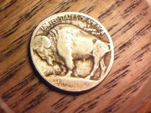 No-Date-Buffalo-Nickel-Raised-Ground?