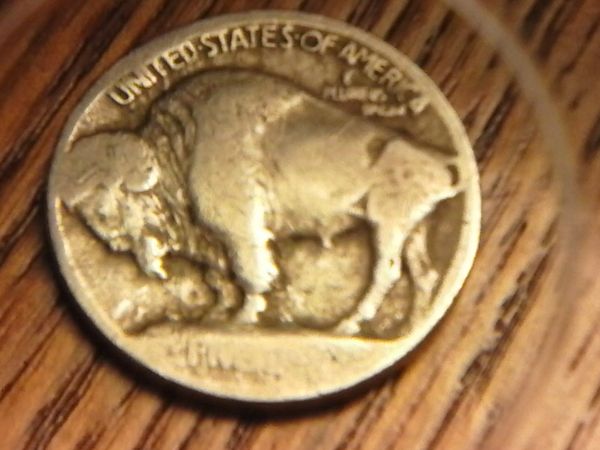 No-Date-Buffalo-Nickel-Raised-Ground?