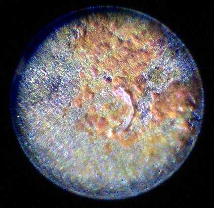 1909-VDB-Lincoln-Cent.--Spot-By-Head?--Any-Metallurgists?