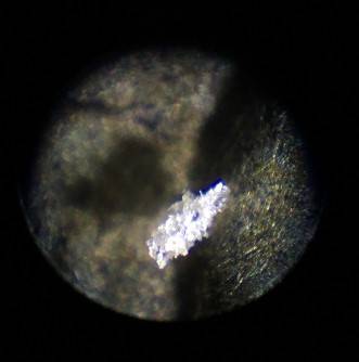 1909-VDB-Lincoln-Cent.--Spot-By-Head?--Any-Metallurgists?