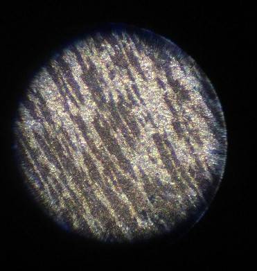 1909-VDB-Lincoln-Cent.--Spot-By-Head?--Any-Metallurgists?