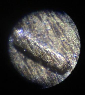 1909-VDB-Lincoln-Cent.--Spot-By-Head?--Any-Metallurgists?